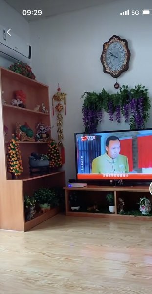 贸易城冷库出租