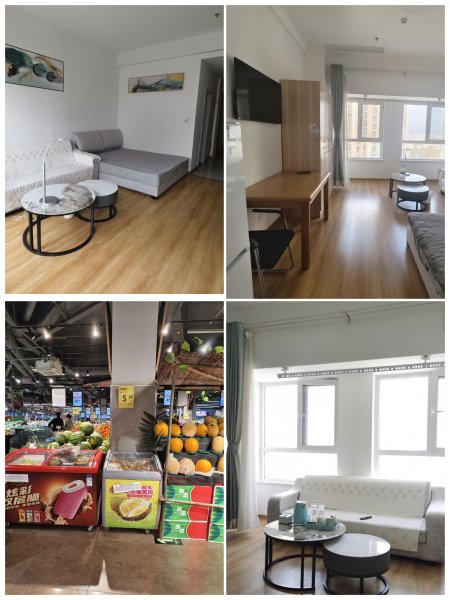 近市政府、小户型、酒店式公寓，可住可办公可短租，包上网费，民用水电
