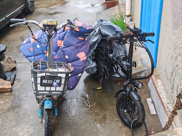 家庭变迁处理两辆电动车