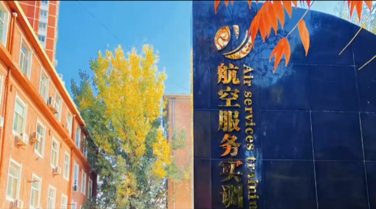 航空票务大中专学生看过来，正式直签上岗快