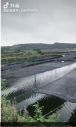 海市乳山市乳山口镇西南赵家有虾池出租，出售，13亩。联系电话，微信同号。赵先生