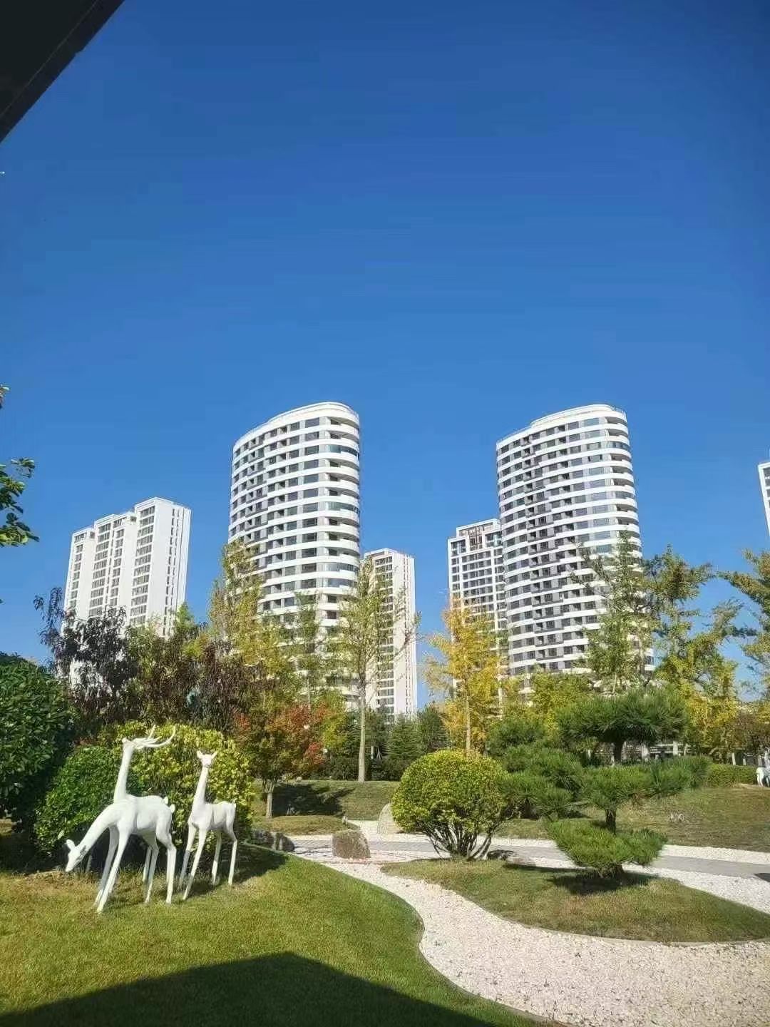 大堂观我 73.8万包过户