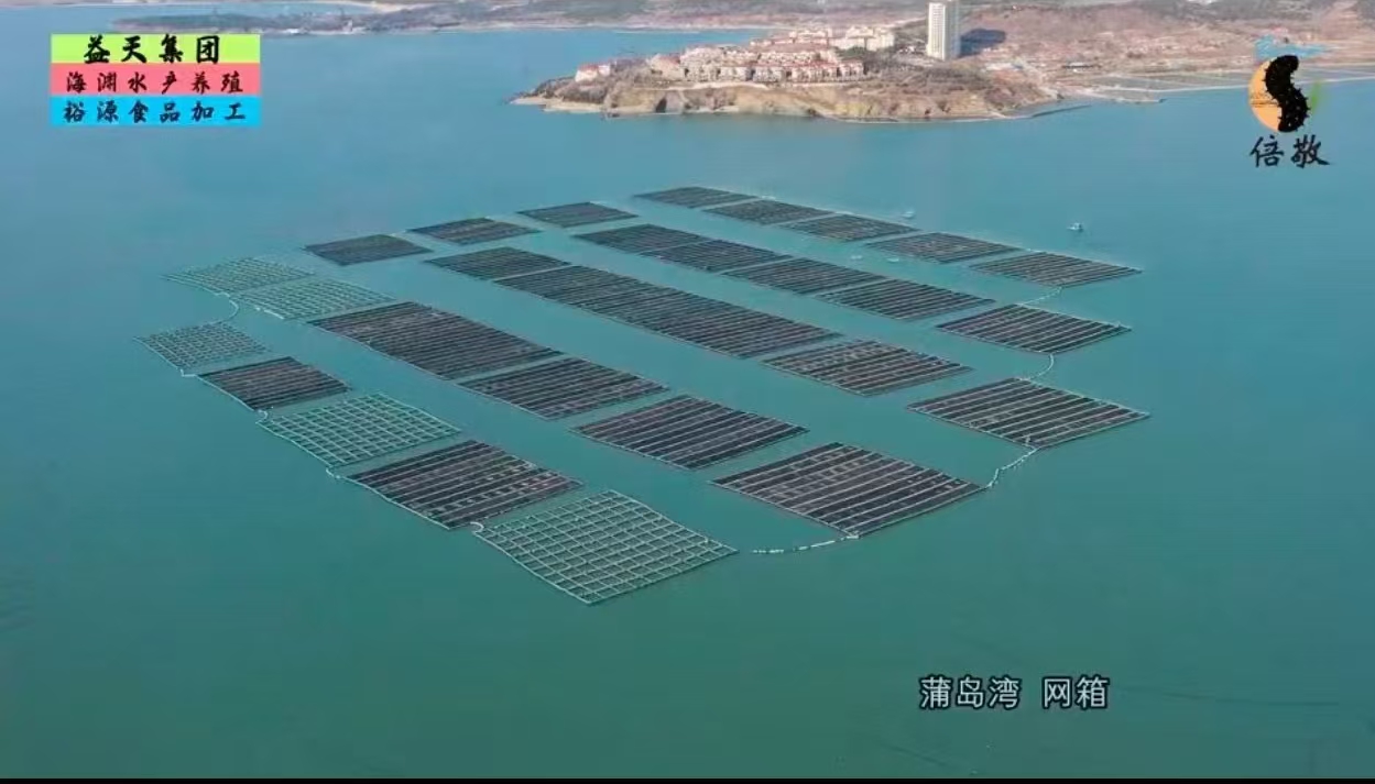 益天集团旗下：倍敬海参，一流品质，实惠美味。
